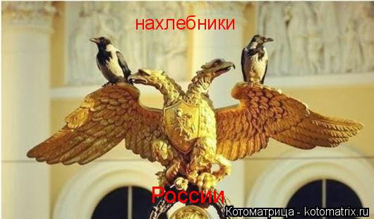 Котоматрица: нахлебники России