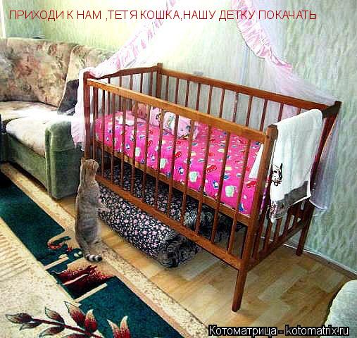 Котоматрица: ПРИХОДИ К НАМ ,ТЕТЯ КОШКА,НАШУ ДЕТКУ ПОКАЧАТЬ