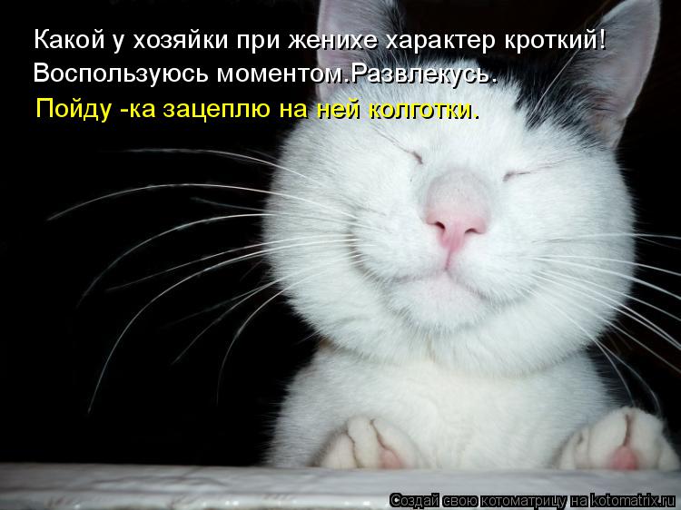 Котоматрица: Какой у хозяйки при женихе характер кроткий! Воспользуюсь моментом.Развлекусь. Пойду -ка зацеплю на ней колготки.