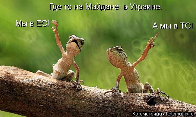 Котоматрица: Мы в ЕС! А мы в ТС! Где то на Майдане  в Украине.