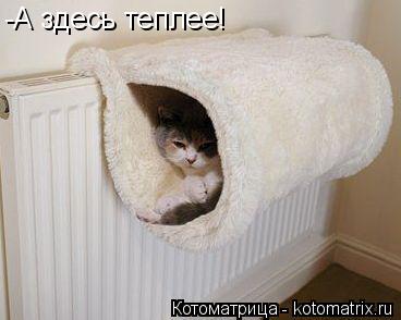 Котоматрица: -А здесь теплее!