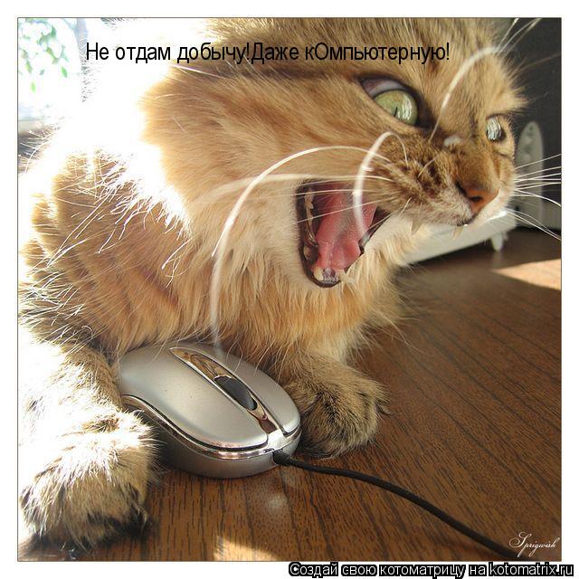 Котоматрица: Не отдам добычу!Даже кОмпьютерную!