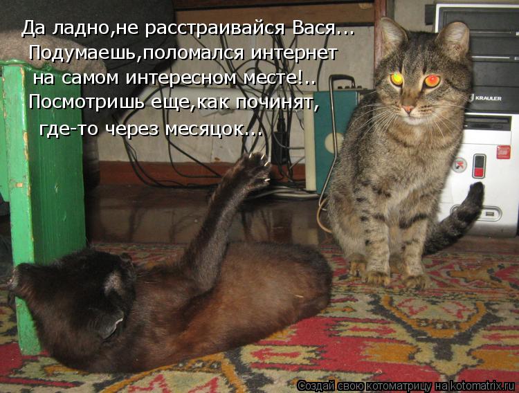 Котоматрица: Да ладно,не расстраивайся Вася... Подумаешь,поломался интернет на самом интересном месте!.. где-то через месяцок... Посмотришь еще,как починя