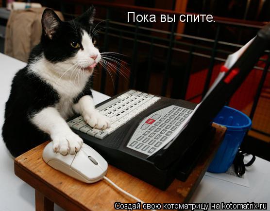 Котоматрица: Пока вы спите.