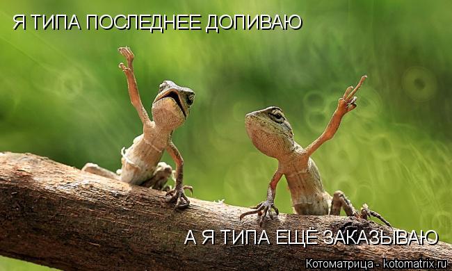 Котоматрица: Я ТИПА ПОСЛЕДНЕЕ ДОПИВАЮ А Я ТИПА ЕЩЁ ЗАКАЗЫВАЮ