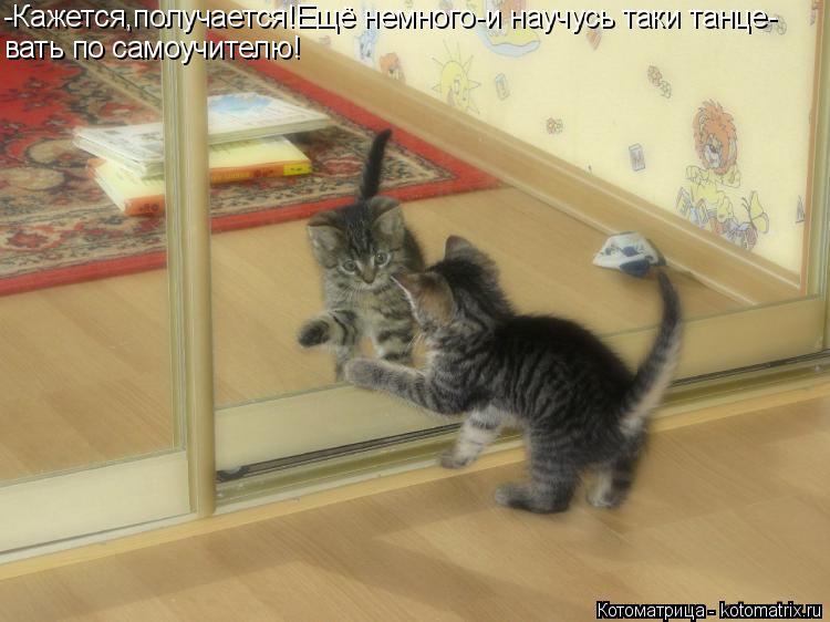 Котоматрица: -Кажется,получается!Ещё немного-и научусь таки танце- вать по самоучителю!