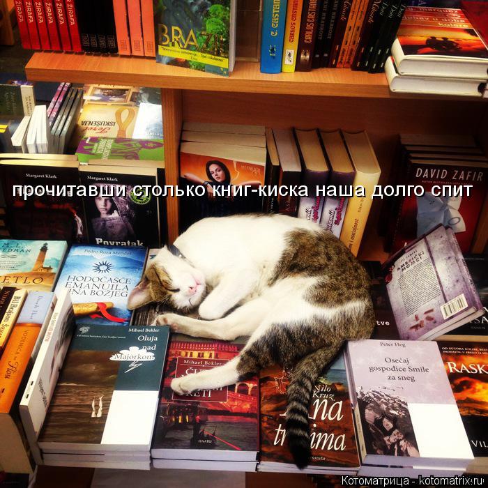Котоматрица: прочитавши столько книг-киска наша долго спит