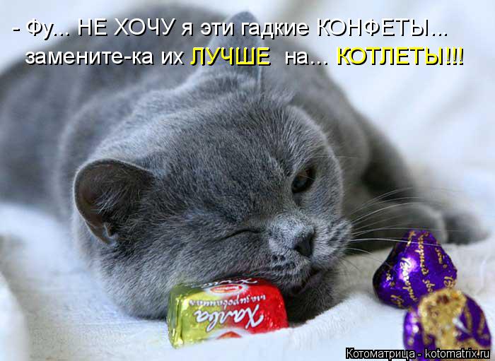 Котоматрица: - Фу... НЕ ХОЧУ я эти гадкие КОНФЕТЫ... замените-ка их ЛУЧШЕ  на... КОТЛЕТЫ!!! ЛУЧШЕ КОТЛЕТЫ!!!