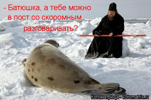 Котоматрица: - Батюшка, а тебе можно   в пост со скоромным разговаривать?