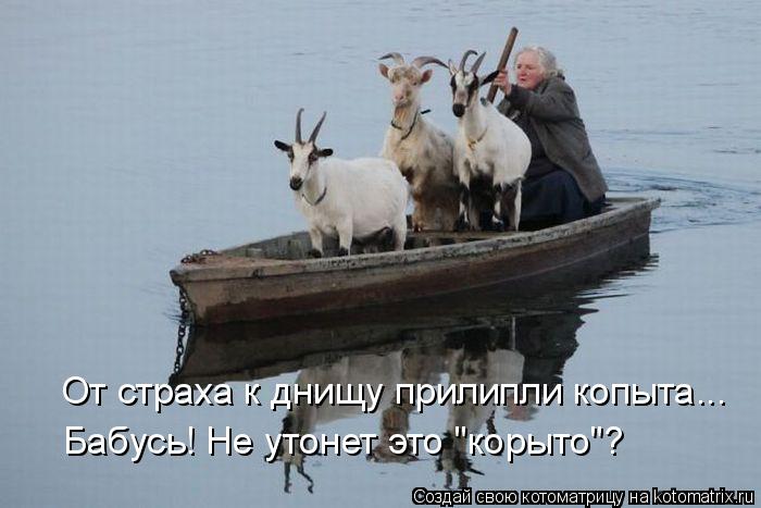 Котоматрица: От страха к днищу прилипли копыта... Бабусь! Не утонет это "корыто"?