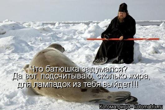 Котоматрица: Что батюшка задумался? Да вот, подсчитываю, сколько жира, для лампадок из тебя выйдет!!!