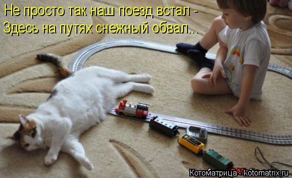 Котоматрица: Не просто так наш поезд встал -  Здесь на путях снежный обвал...