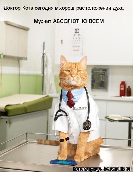 Котоматрица: Доктор Котэ сегодня в хорош расположении духа Мурчит АБСОЛЮТНО ВСЕМ