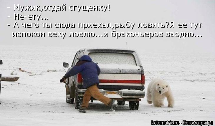 Котоматрица: - Мужик,отдай сгущенку! - Не-ету... - А чего ты сюда приехал,рыбу ловить?Я ее тут  испокон веку ловлю...и браконьеров заодно...