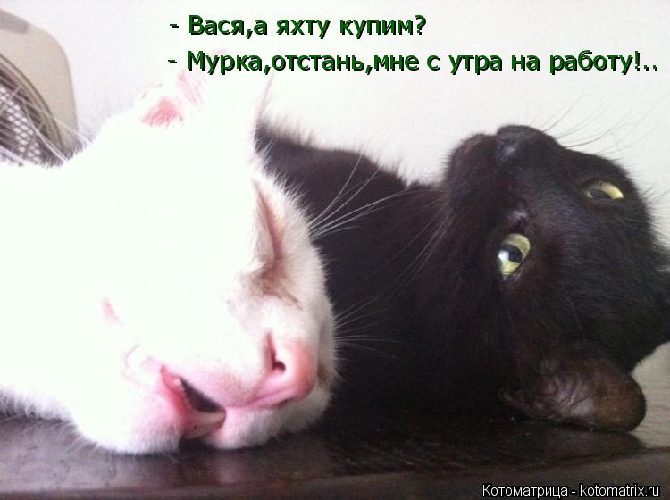 Котоматрица: - Мурка,отстань,мне с утра на работу!.. - Вася,а яхту купим?