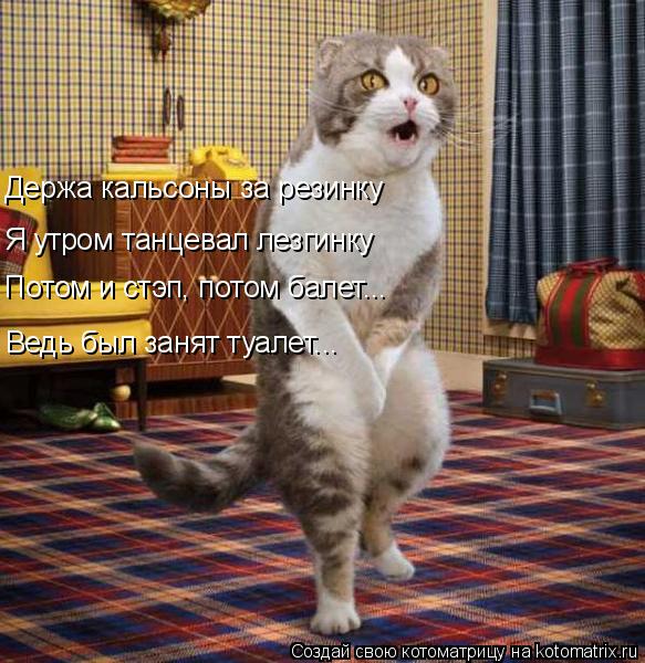 Котоматрица: Держа кальсоны за резинку Я утром танцевал лезгинку Потом и стэп, потом балет... Ведь был занят туалет...