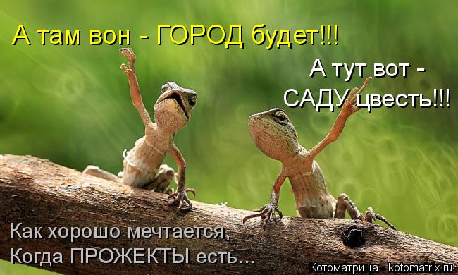 Котоматрица: А там вон - ГОРОД будет!!! САДУ цвесть!!! А тут вот - Как хорошо мечтается, Когда ПРОЖЕКТЫ есть...