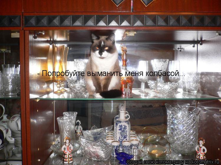 Котоматрица: - Попробуйте выманить меня колбасой...