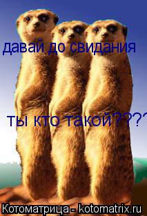 ты кто такой?????????????7 давай до свидания... Котоматрица: ты кто такой?????????????7 давай до свидания