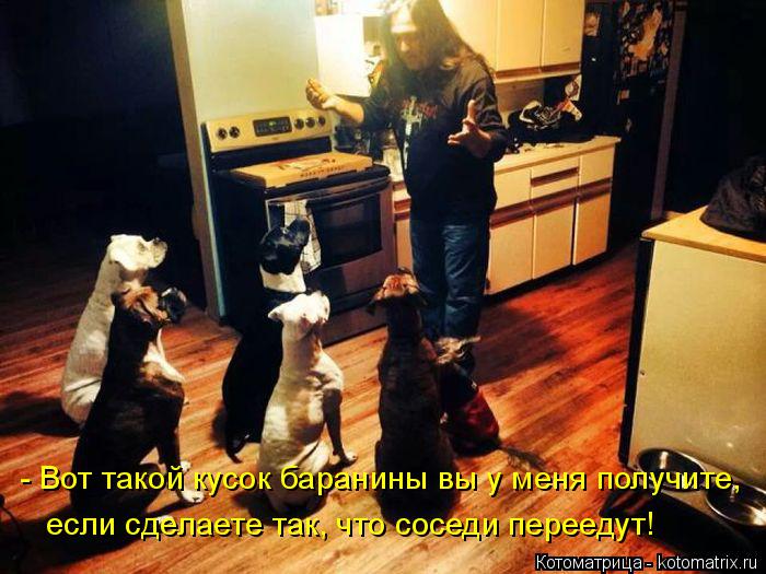 Котоматрица: - Вот такой кусок баранины вы у меня получите, если сделаете так, что соседи переедут!