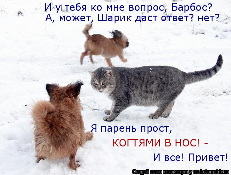 И у тебя ко мне вопрос, Барбос? А, может, Шарик даст ответ? нет? И все! Привет! Я парень прост, КОГТ... Котоматрица: И у тебя ко мне вопрос, Барбос? А, может, Шарик даст ответ? нет? И все! Привет! Я парень прост, КОГТЯМИ В НОС! -
