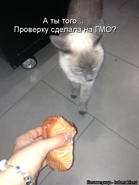 Котоматрица: А ты того... Проверку сделала на ГМО?