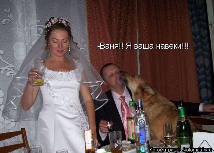 Котоматрица: -Ваня!! Я ваша навеки!!!