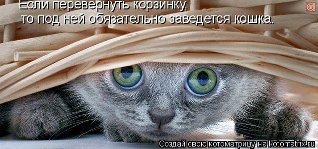 Котоматрица: Если перевернуть корзинку, то под ней обязательно заведется кошка.