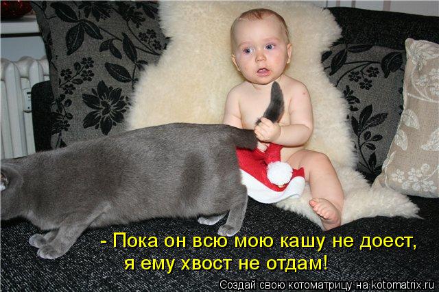 Почему нельзя дергать за хвост кота Почему нельзя дергать за хвост кота