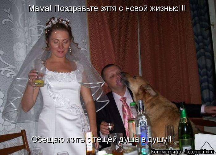 Котоматрица: Обещаю жить с тещей душа в душу!!! Мама! Поздравьте зятя с новой жизнью!!!