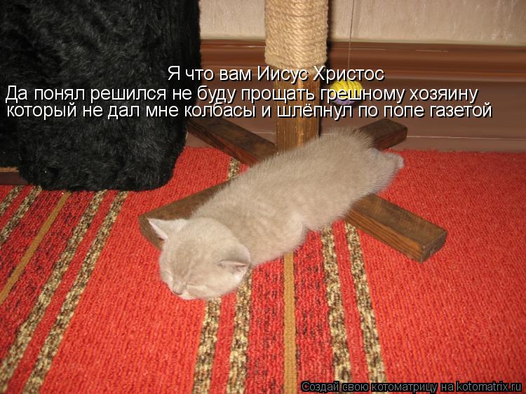 Я что вам Иисус Христос Да понял решился не буду прощать грешному хозяину который не дал мне колбасы ... Котоматрица: Я что вам Иисус Христос Да понял решился не буду прощать грешному хозяину который не дал мне колбасы и шлёпнул по попе газетой