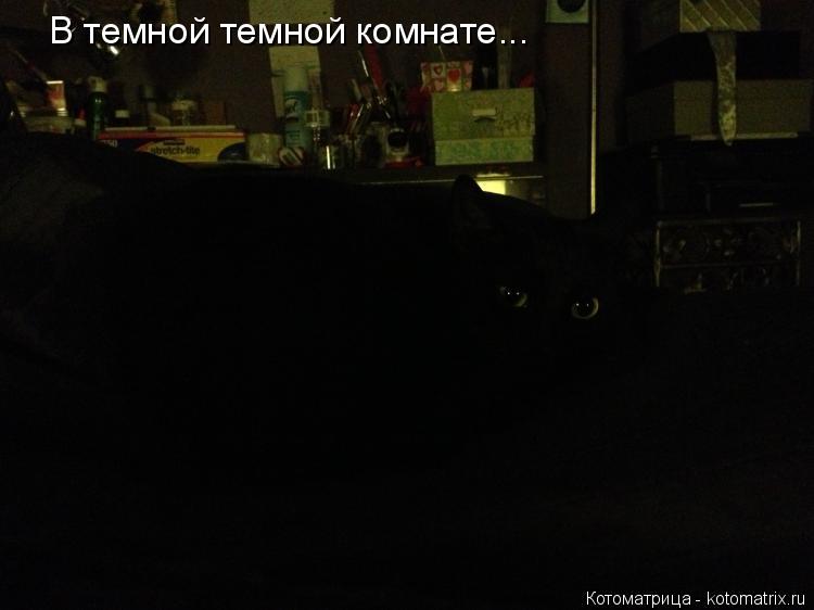 Котоматрица: В темной темной комнате...