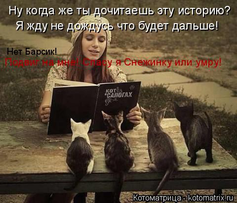 Ну когда же ты дочитаешь эту историю? Я жду не дождусь что будет дальше! Нет Барсик! Подвиг на мне!... Котоматрица: Ну когда же ты дочитаешь эту историю? Я жду не дождусь что будет дальше! Нет Барсик! Подвиг на мне! Спасу я Снежинку или умру!