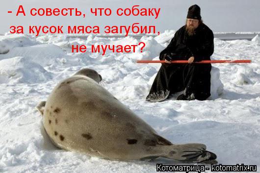 Котоматрица: - А совесть, что собаку  за кусок мяса загубил, не мучает?