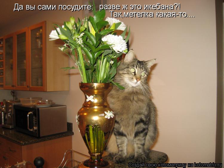 Котоматрица: Да вы сами посудите:  разве ж это икебана?! Так,метелка какая-то....