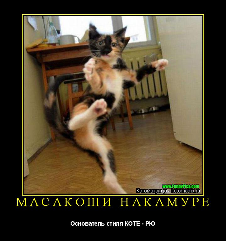 Котоматрица: МАСАКОШИ НАКАМУРЕ Основатель стиля КОТЕ - РЮ