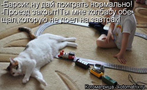Котоматрица: -Барсик,ну дай поиграть нормально! -Проезд закрыт!Ты мне колбасу обе- щал,которую не доел на завтрак!