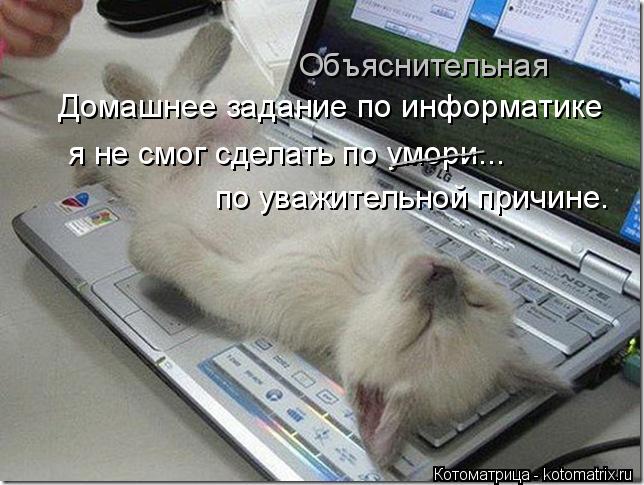 Котоматрица: Объяснительная Домашнее задание по информатике я не смог сделать по умори...  по уважительной причине. ________