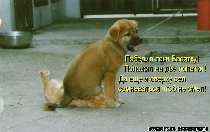 Котоматрица: Победил-таки Васятку! Положил на две лопатки! Да ещё и сверху сел, сомневаться чтоб не смел!