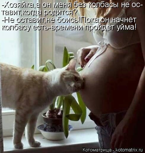 Котоматрица: -Хозяйка,а он меня без колбасы не ос- тавит,когда родится? -Не оставит,не боись!Пока он начнёт колбасу есть-времени пройдёт уйма!