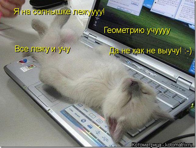 Котоматрица: Я на солнышке лежуууу! Геометрию учуууу Все лежу и учу  Да не как не выучу! :-)