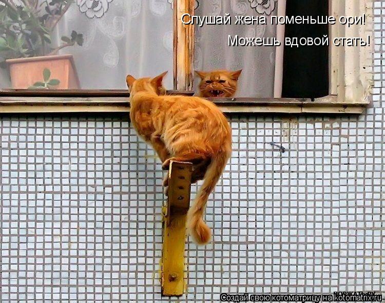 Котоматрица: Слушай жена поменьше ори! Можешь вдовой стать!