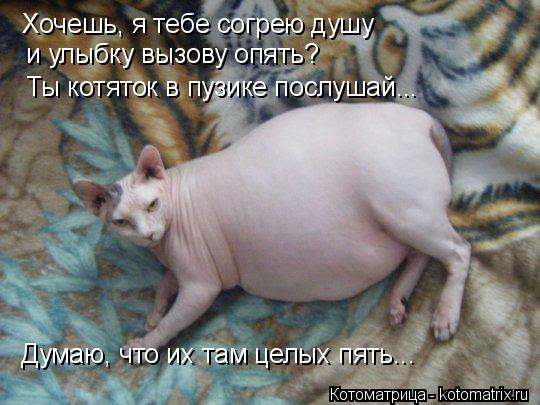 Котоматрица: Хочешь, я тебе согрею душу  и улыбку вызову опять? Ты котяток в пузике послушай... Думаю, что их там целых пять...