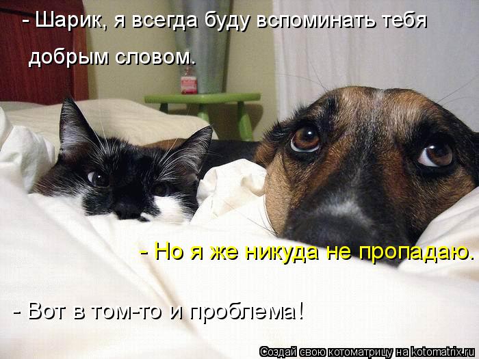 Котоматрица: - Шарик, я всегда буду вспоминать тебя добрым словом. - Но я же никуда не пропадаю. - Вот в том-то и проблема!