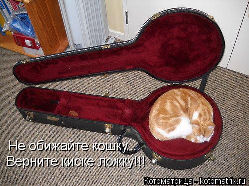 Котоматрица: Не обижайте кошку... Верните киске ложку!!!