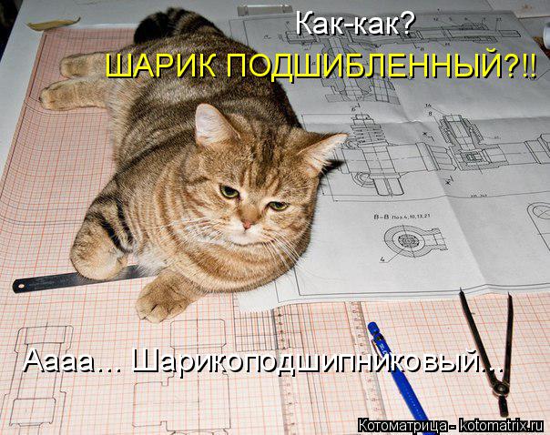 Котоматрица: Как-как? ШАРИК ПОДШИБЛЕННЫЙ?!! Аааа... Шарикоподшипниковый...
