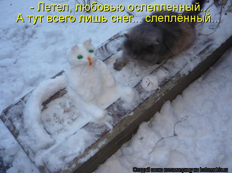 Котоматрица: - Летел, любовью ослепленный... А тут всего лишь снег... слеплённый...