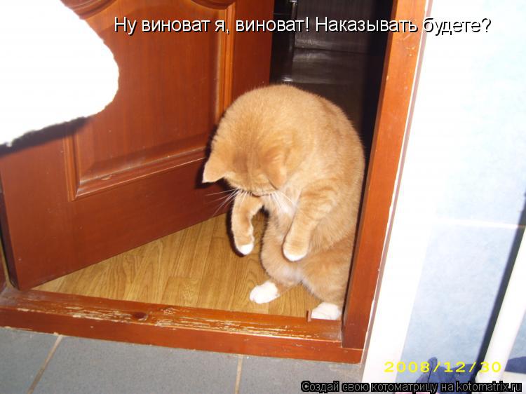 Котоматрица: Ну виноват я, виноват! Наказывать будете?