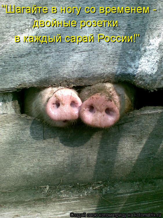 Котоматрица: "Шагайте в ногу со временем - двойные розетки в каждый сарай России!"