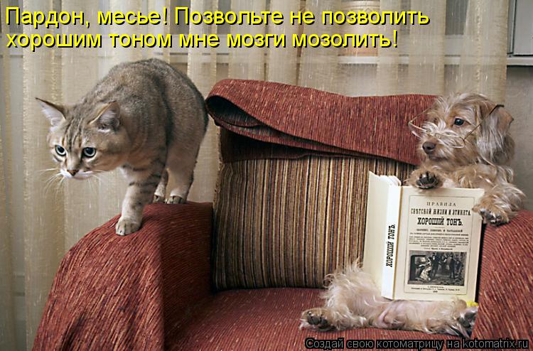 Котоматрица: Пардон, месье! Позвольте не позволить хорошим тоном мне мозги мозолить!